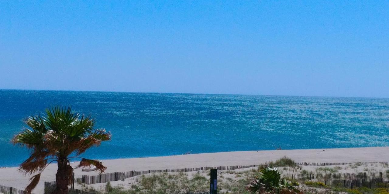 Vue Mer Panoramique Wifi Gratuit Le Barcarès Eksteriør billede