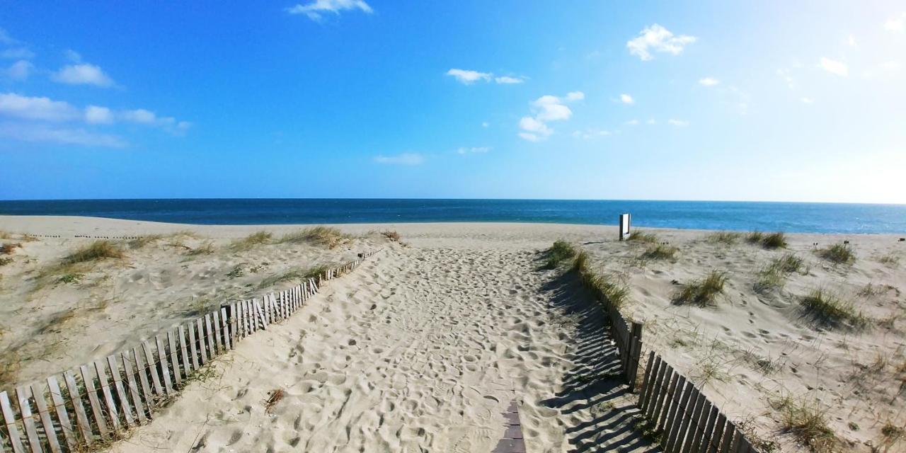 Vue Mer Panoramique Wifi Gratuit Le Barcarès Eksteriør billede