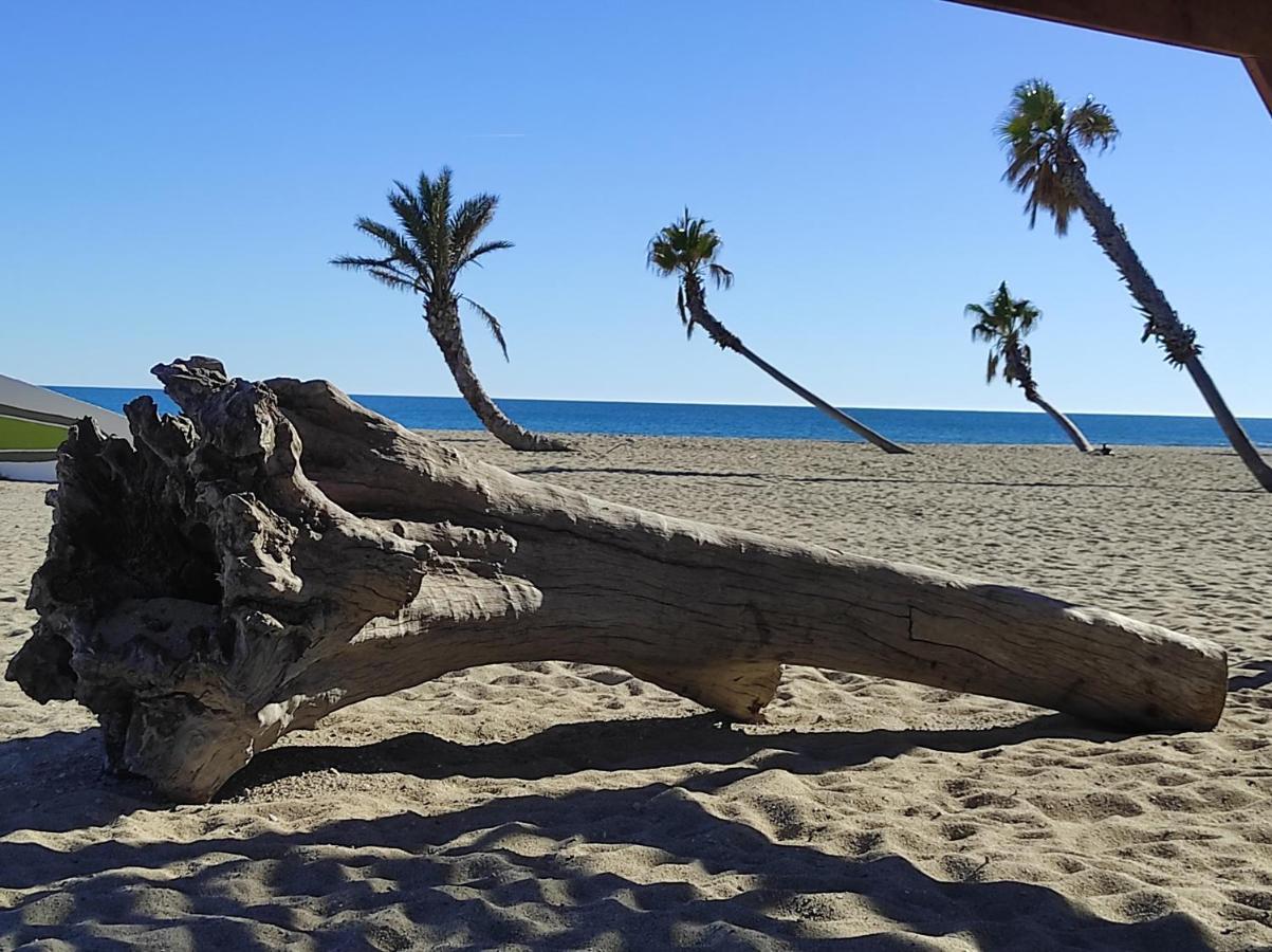 Vue Mer Panoramique Wifi Gratuit Le Barcarès Eksteriør billede